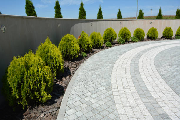 Best Affordable Driveway Pavers  in Walworth, WI